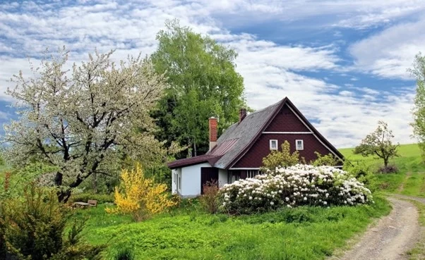 image - Add Some Trees And Flowers