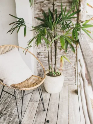 featured image - Awesome Ways to Create a Summer Vibe for Your Home