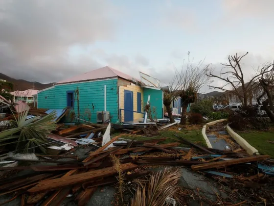 featured image - Effective Ways to Prevent Hurricane Damage