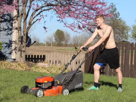 featured image - How Often Should Grass Be Cut