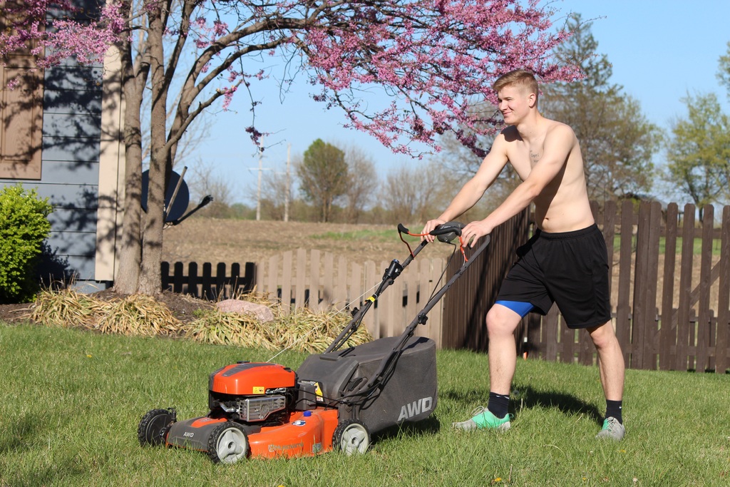 How Often Should Grass Be Cut image - How Often Should Grass Be Cut