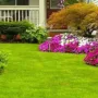 featured image - How to Create a Low Maintenance Garden