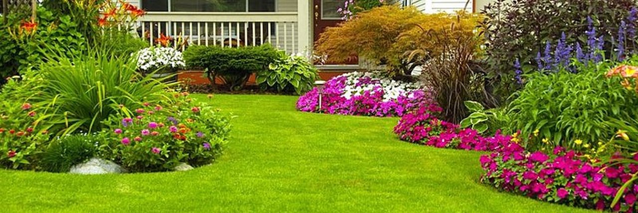 image - How to Create a Low Maintenance Garden