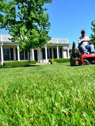 featured image - How to Look After Your Lawn Like a Professional