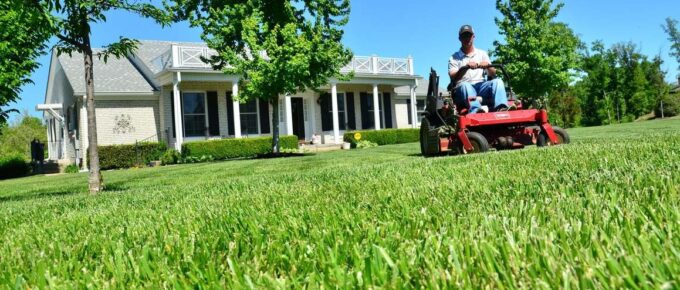 How to Look After Your Lawn Like a Professional