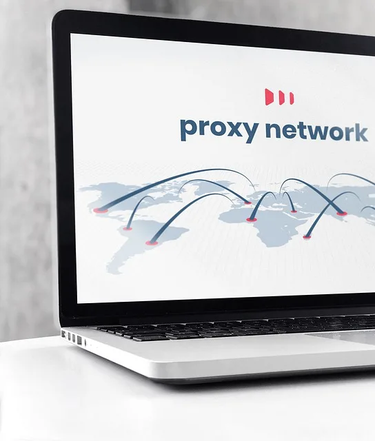 image - What Should You Consider When Choosing a Proxy