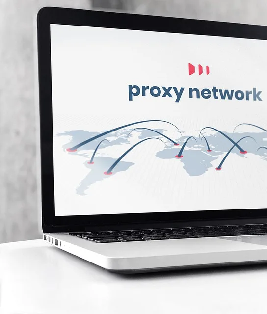 What Should You Consider When Choosing a Proxy image - What Should You Consider When Choosing a Proxy