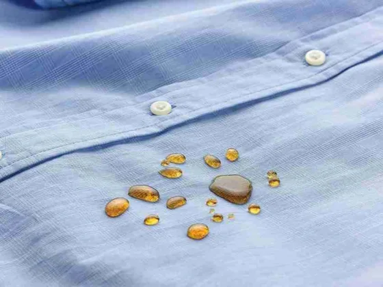 featured image - Best Products for Fabric Protection Available in Market