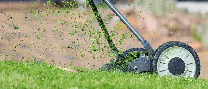 How to Maintain a Lawn
