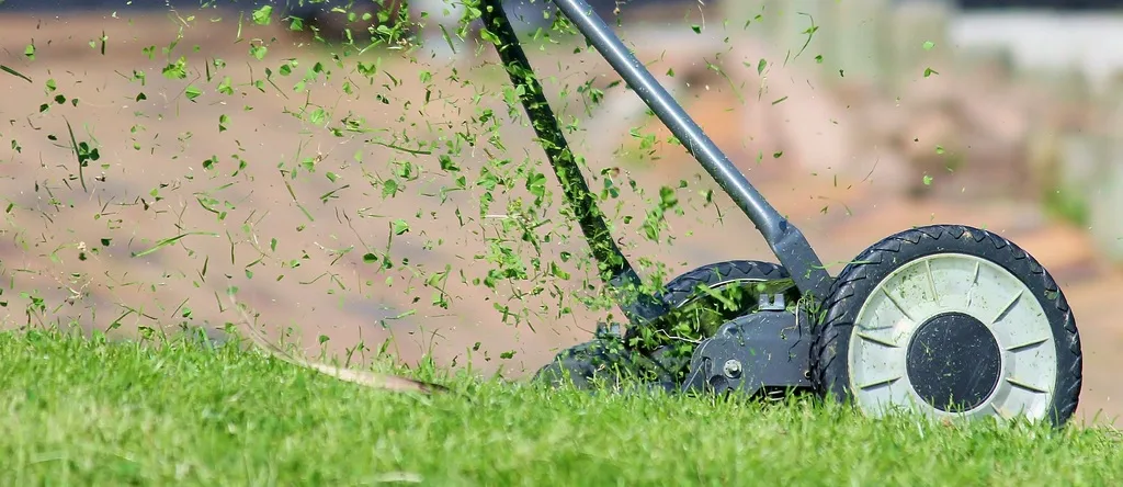 How to Maintain a Lawn image - How to Maintain a Lawn