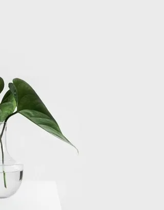 featured image - In-House vs. Outsourced Commercial Cleaning in Texas