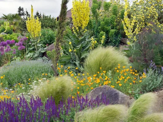 featured image - The Gardeners Guide to Winter