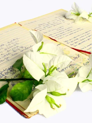 featured image - Understand How to Write Poetry and Its Core Elements