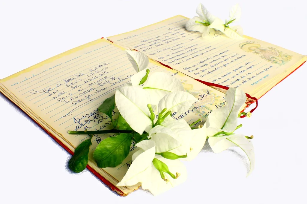 Understand How to Write Poetry and Its Core Elements image - Understand How to Write Poetry and Its Core Elements
