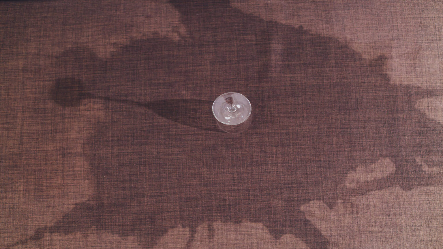 Can You Salvage a WaterDamaged Carpet?