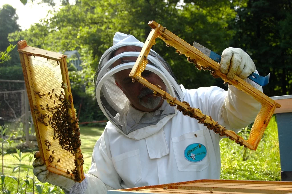 image - Beekeeping Equipment for Beginners