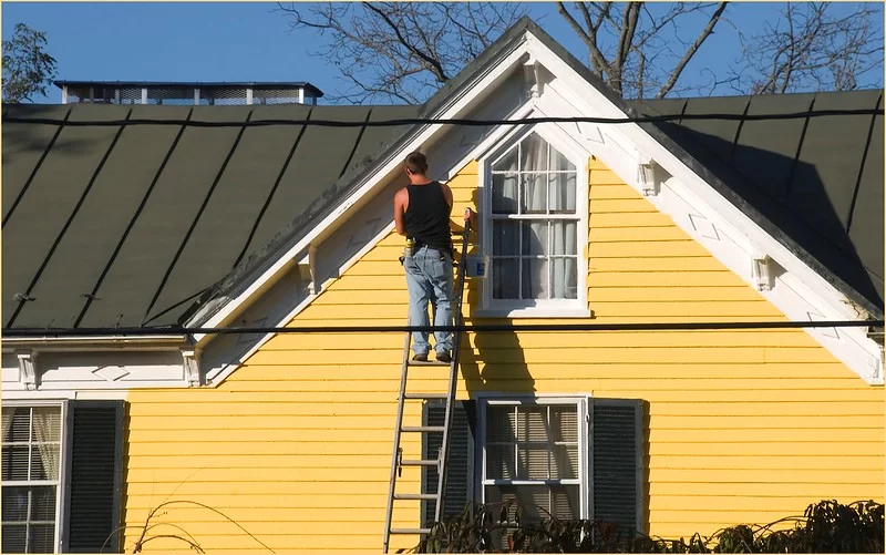 Effective Techniques to Check for a Quality Paint Job Image - Effective Techniques to Check for a Quality Paint Job
