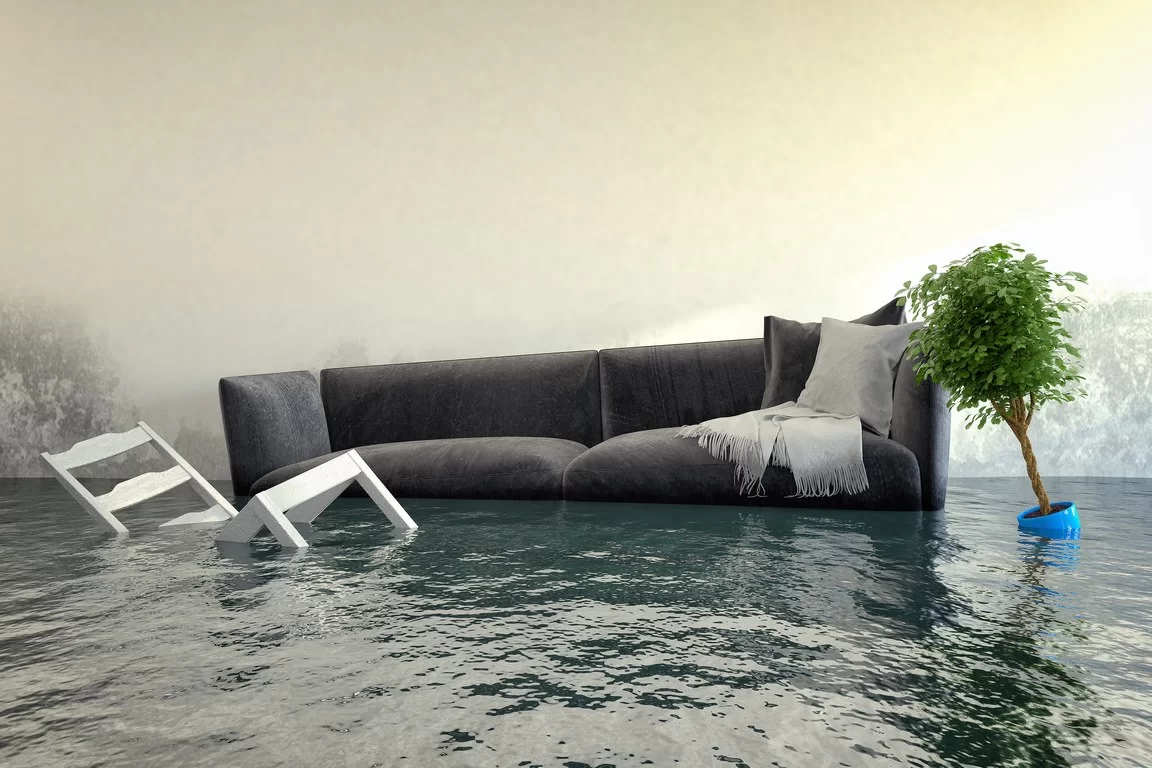 What Should I Do If My Home Is Flooded image - What Should I Do If My Home Is Flooded