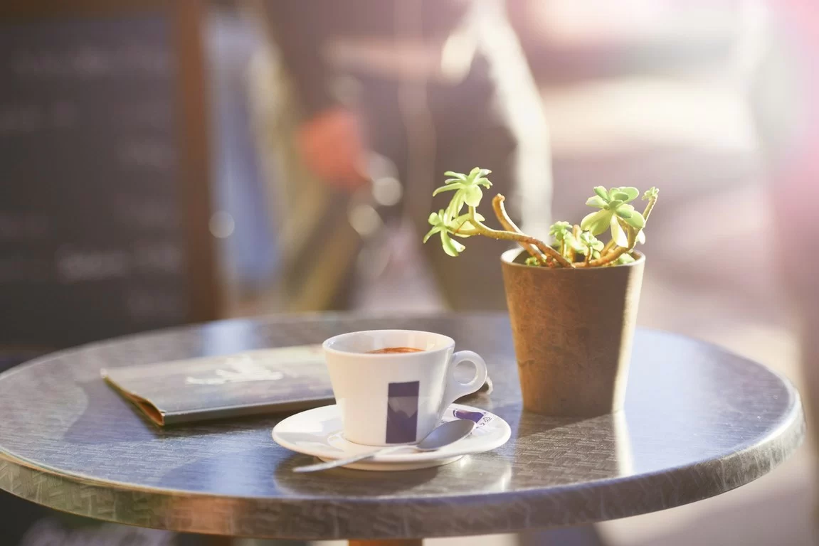 6 Different Types of Coffee Tables to Upgrade Your Interior Image - 6 Different Types of Coffee Tables to Upgrade Your Interior