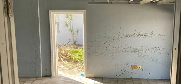 8 Steps to Clean Your Home After Flood Damage or Water Damage