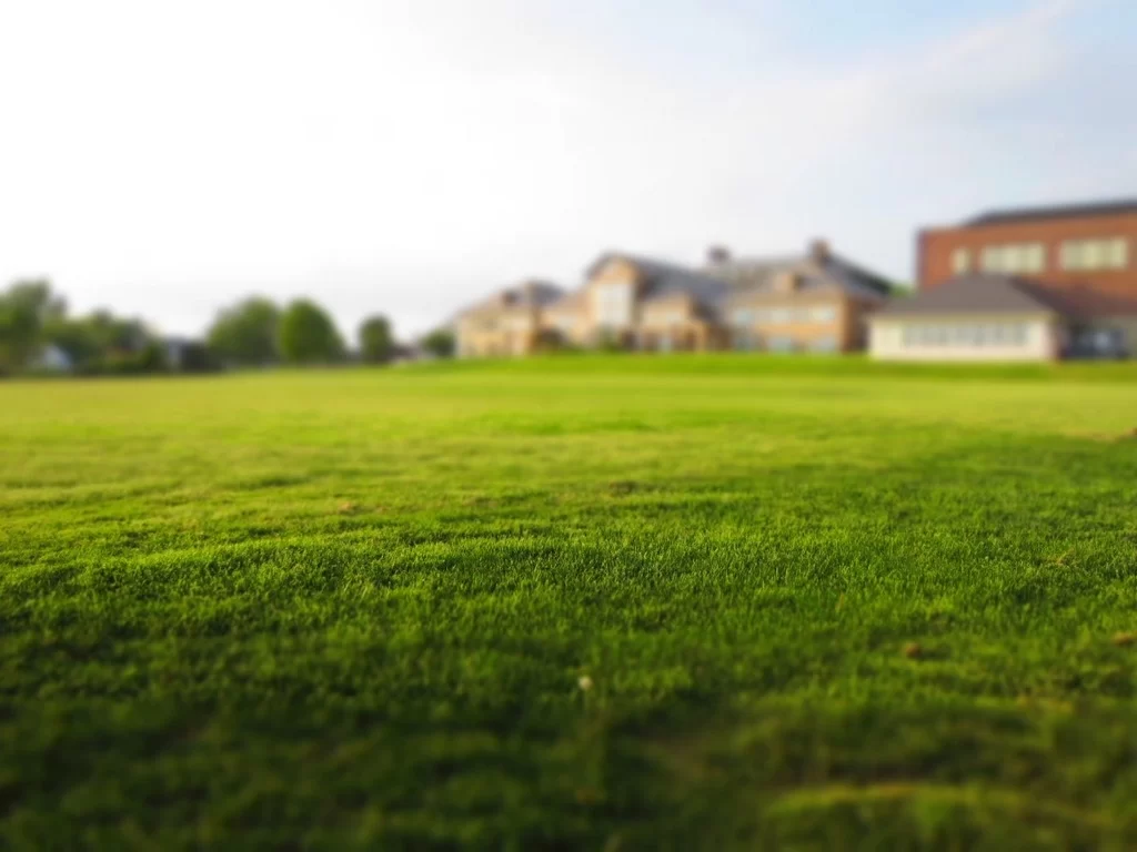 Artificial Grass Infill Types Image - Artificial Grass Infill Types