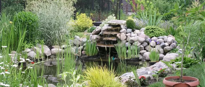 Everything You Need to Know About Pond Landscaping