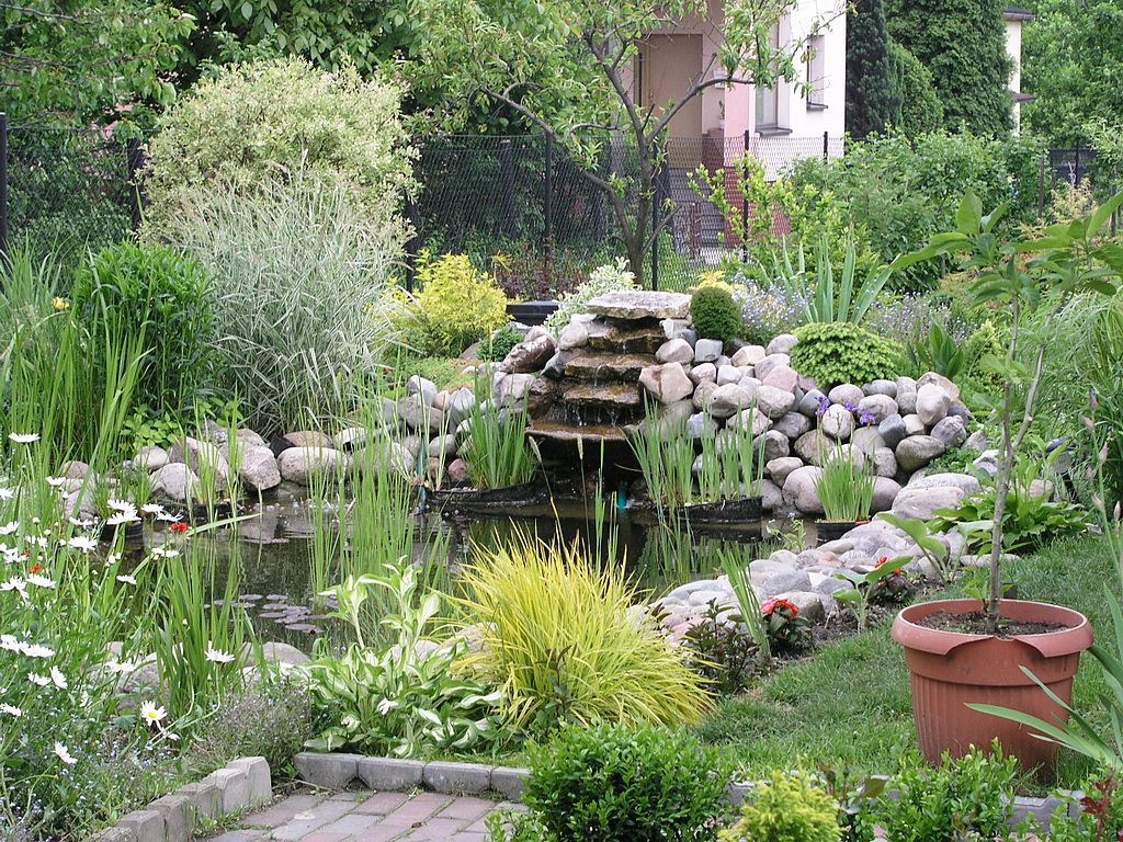 image - Everything You Need to Know About Pond Landscaping