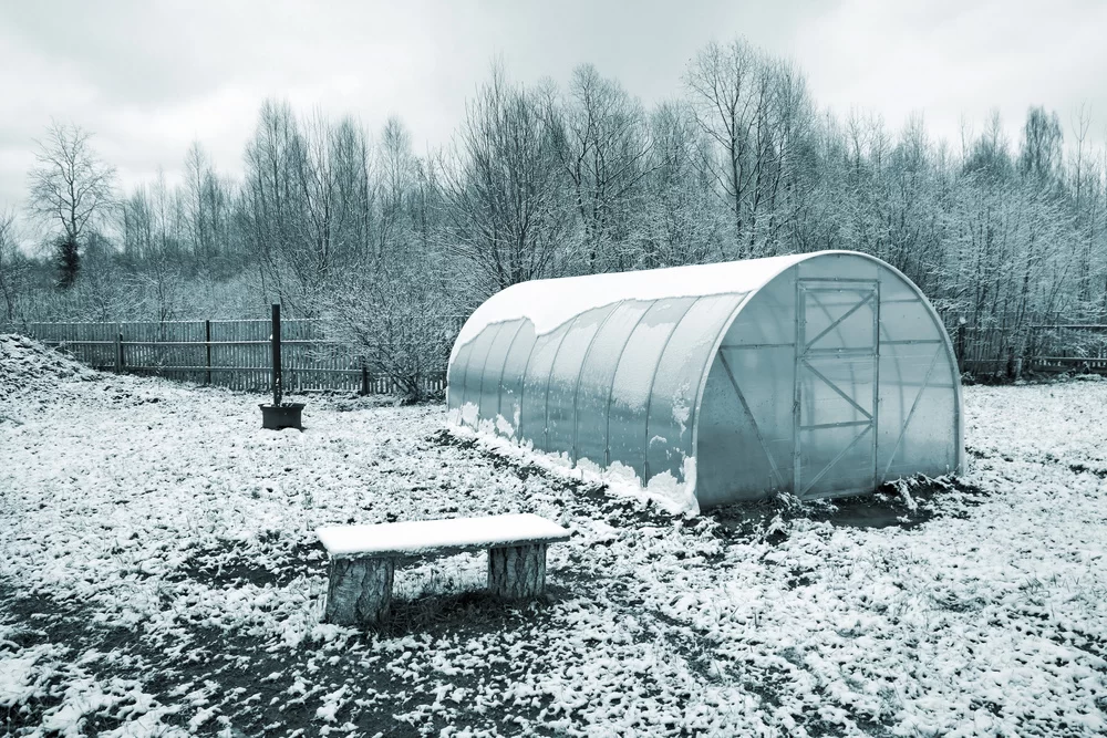 image - How To Build a Winter-Proof Greenhouse