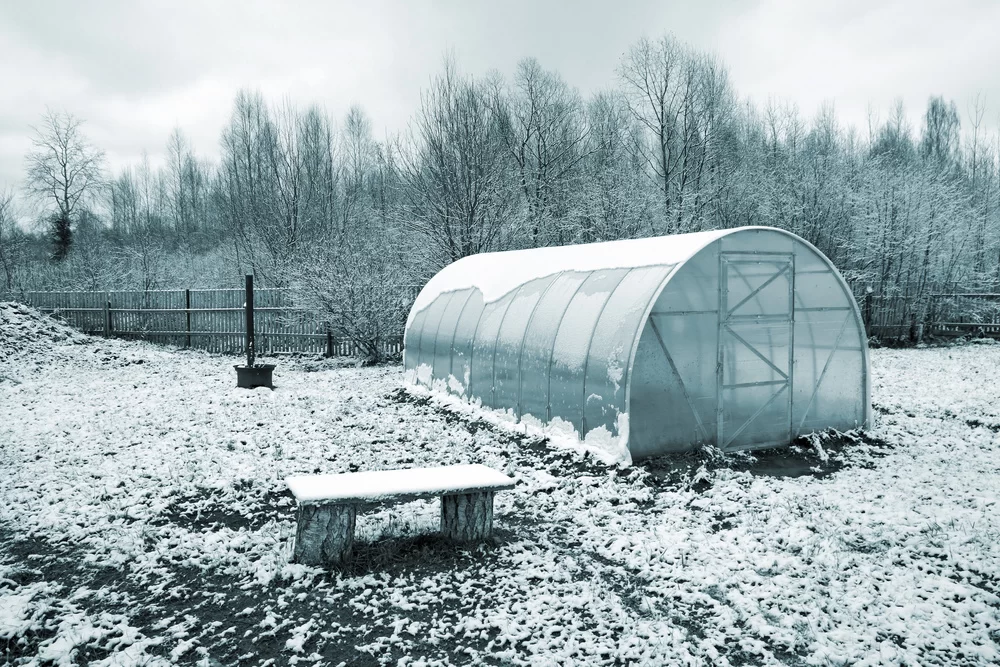 How To Build a Winter-Proof Greenhouse image - How To Build a Winter-Proof Greenhouse