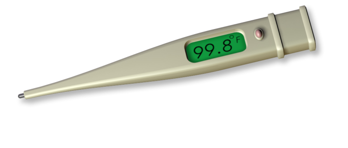 How to Use a Digital Thermometer for Cooking?
