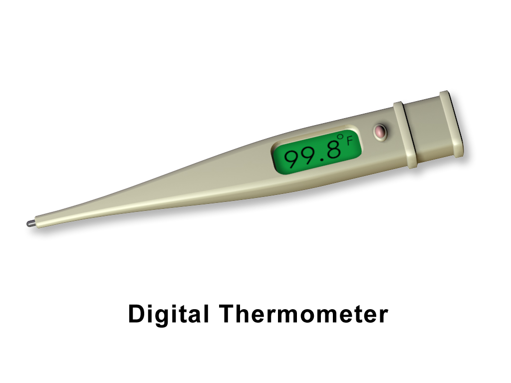 image - How to Use a Digital Thermometer for Cooking