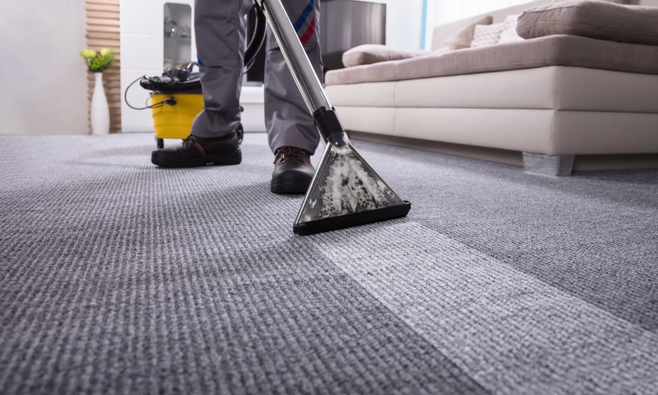 Image - What Is the Best Method Used to Clean a Carpet?