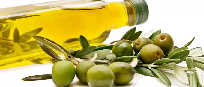 5 Fun Facts You Didn’t Know About Olive Oil