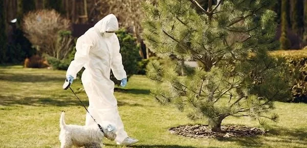 6 Tips for Keeping Your Pets Safe During Pest Control