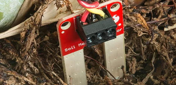 How to Check Soil Moisture Using Best Tools?