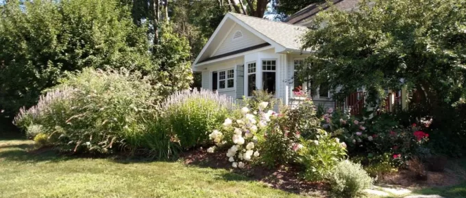 6 Common Residential Landscaping Errors and How to Avoid Them