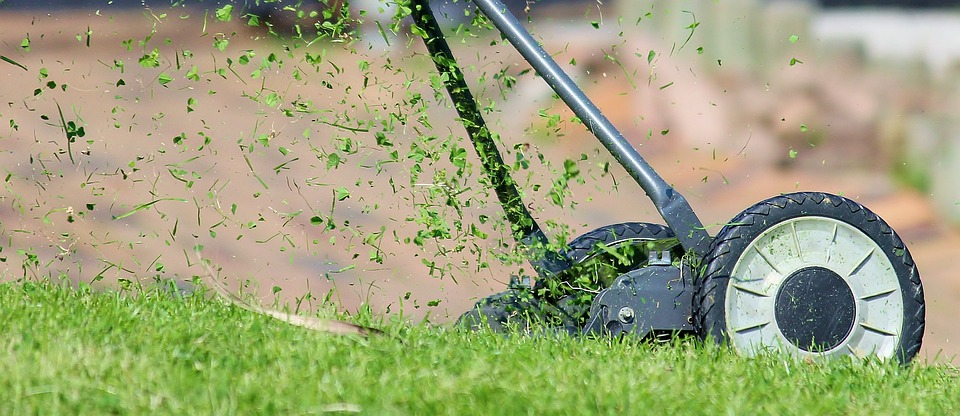 image - All The Essentials You Need to Know Before Buying a Lawn Mower