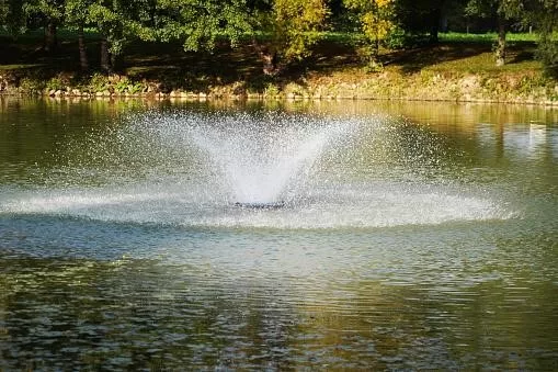 image - Benefits Of Buying a Kasco Aerator Fountain