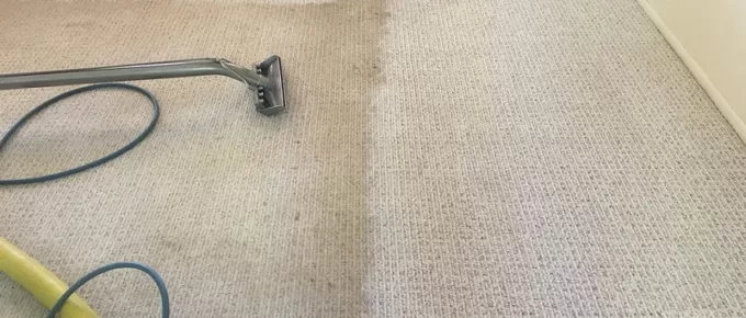 “Carpet Cleaning: The Ultimate Solution for Killing Fleas”