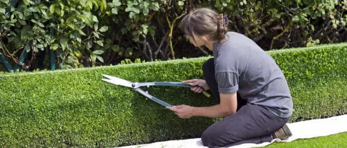 How To Protect Your Lawn from The Weather with Ground Protection