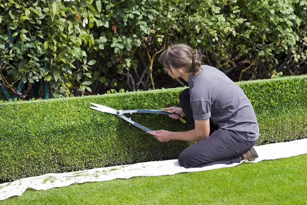 image - How To Protect Your Lawn from The Weather with Ground Protection