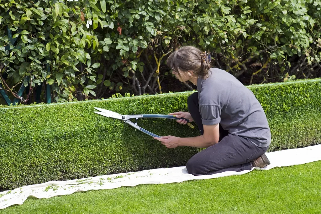 How To Protect Your Lawn from The Weather with Ground Protection image - How To Protect Your Lawn from The Weather with Ground Protection