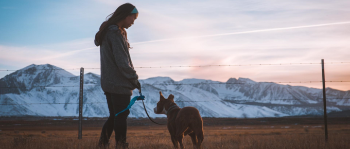 Protecting Your Dog with An Electric Fence: What to Know Before You Buy
