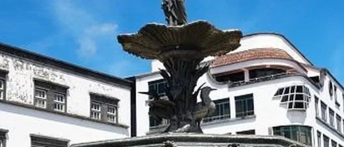 The Benefits of Buying a Kasco Aerator Fountain for Your Water Feature