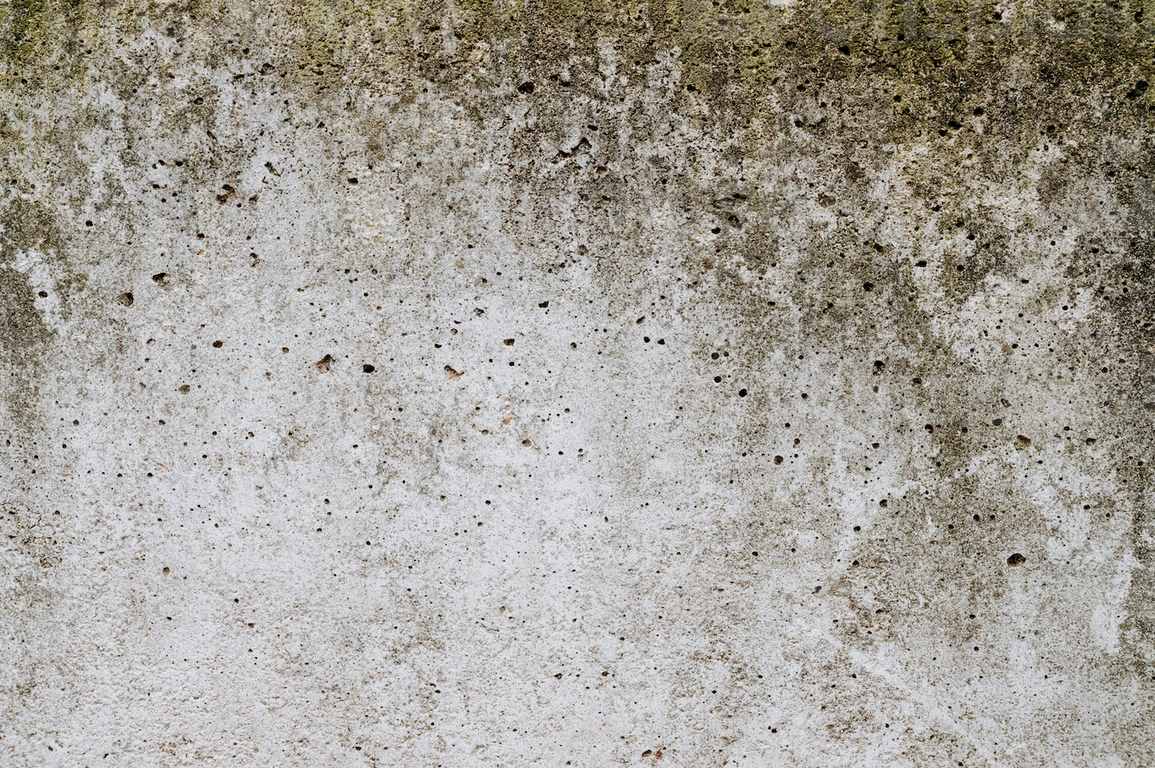 image - The Importance of Mold Restoration in Your Home or Business