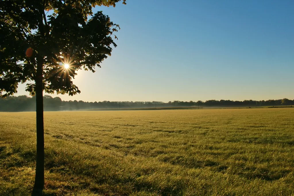 What To Consider When Buying Land with A Possessory Title image - What To Consider When Buying Land with A Possessory Title