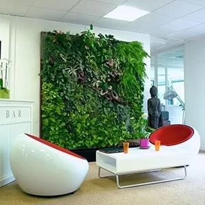 Image - Design Considerations for Green Living Walls
