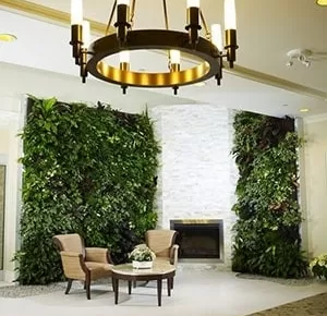 Bring Nature Inside: The Benefits of Installing a Green Living Wall