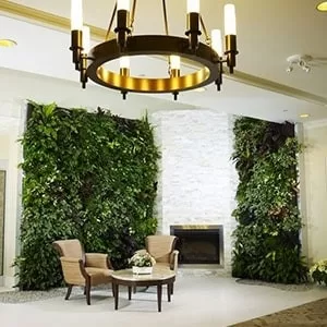 Image - Bring Nature Inside: The Benefits of Installing a Green Living Wall