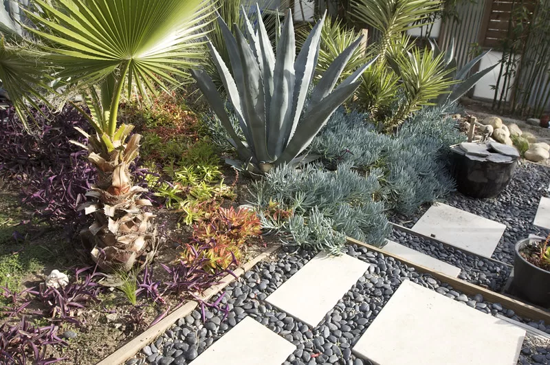 How to Xeriscape Your Yard for Maximum Water Savings image - How to Xeriscape Your Yard for Maximum Water Savings